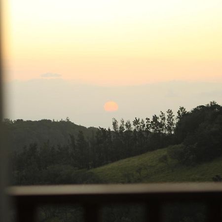 Hotel Bosque Verde Lodge Monteverde Chambre photo