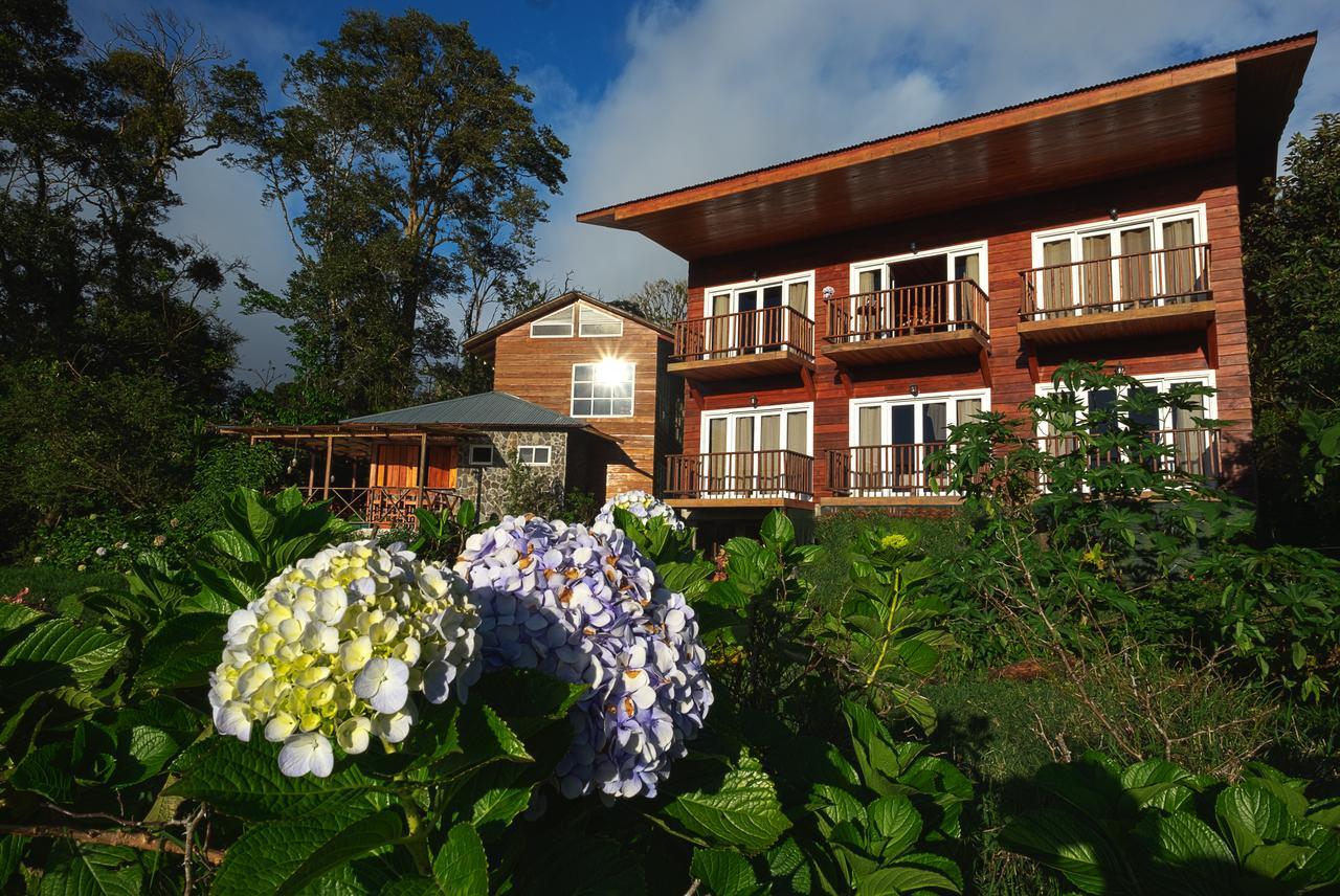 Hotel Bosque Verde Lodge Monteverde Chambre photo