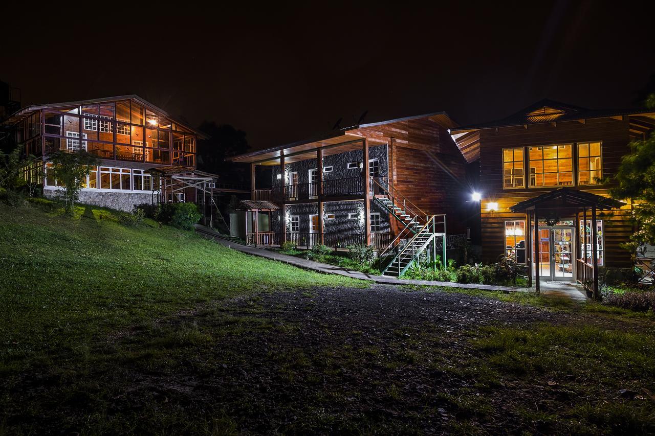 Hotel Bosque Verde Lodge Monteverde Extérieur photo