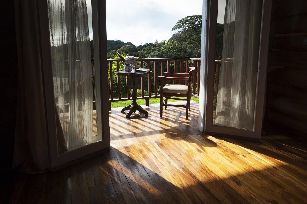 Hotel Bosque Verde Lodge Monteverde Extérieur photo