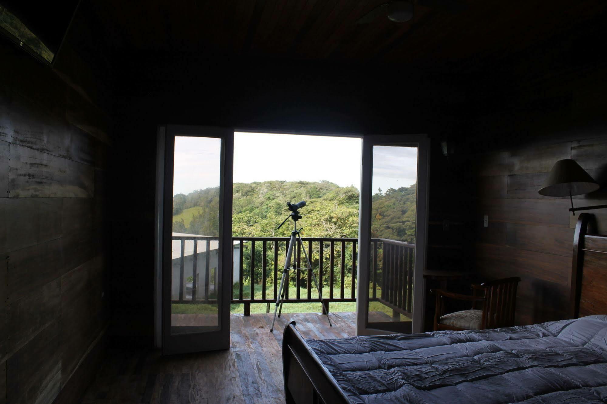 Hotel Bosque Verde Lodge Monteverde Extérieur photo