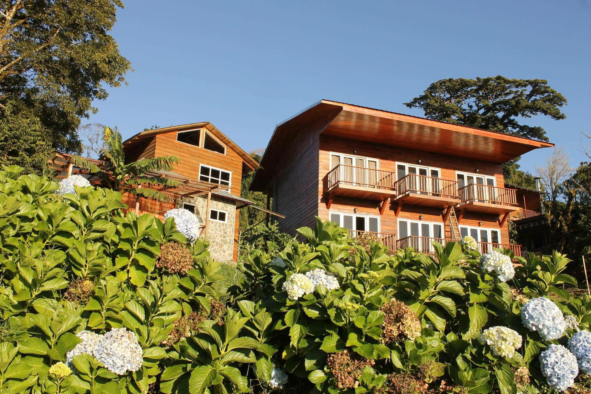 Hotel Bosque Verde Lodge Monteverde Extérieur photo